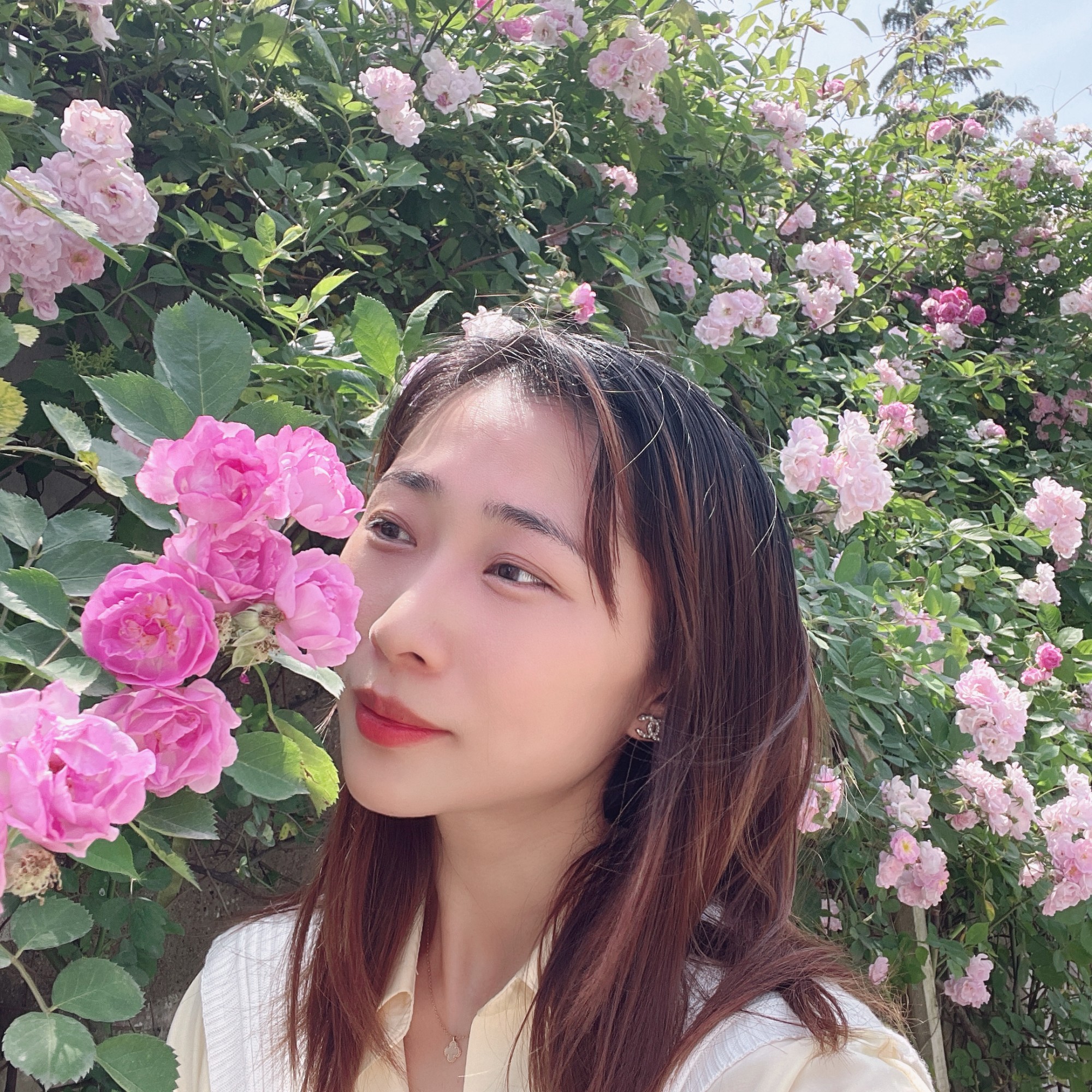 陈小英